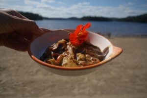 champignons lac edouard